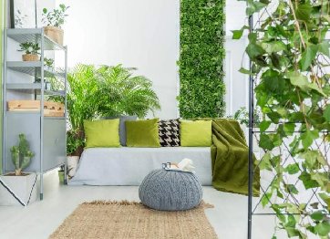 室内植物墙价格