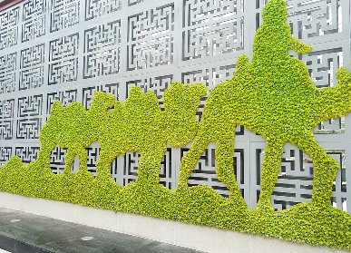 永生苔藓植物墙案例