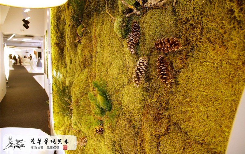 苔藓植物墙案例