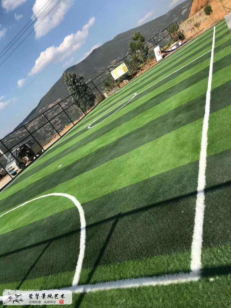足球场人工草坪