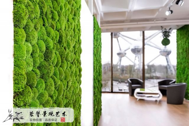 苔藓植物墙优点