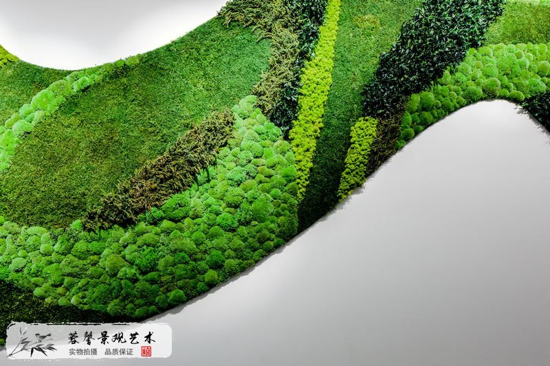 室内永生苔藓植物墙