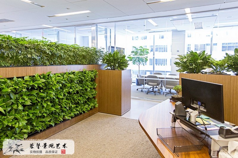 办公室植物墙做法