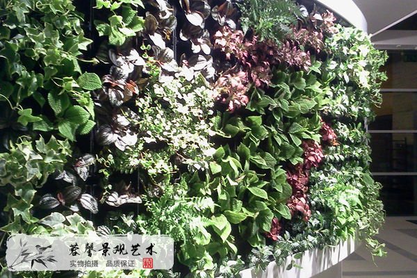 室内植物墙作用