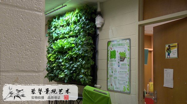 学校立体绿化