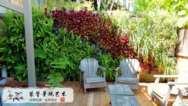 室外垂直绿化植物墙植物种类有哪些 已帮助97人 蓉馨生态景观