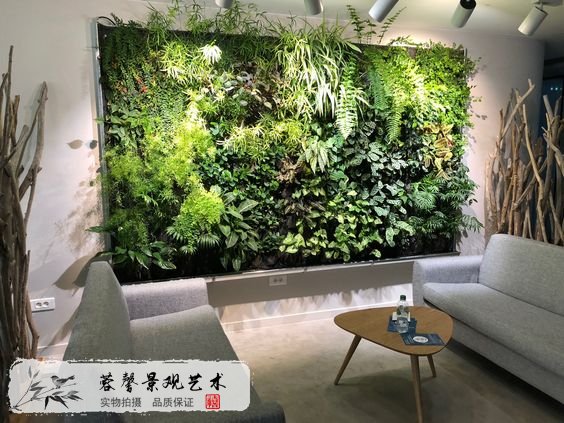 公装植物墙设计