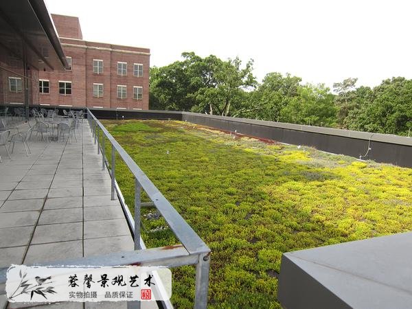 屋顶绿化是什么