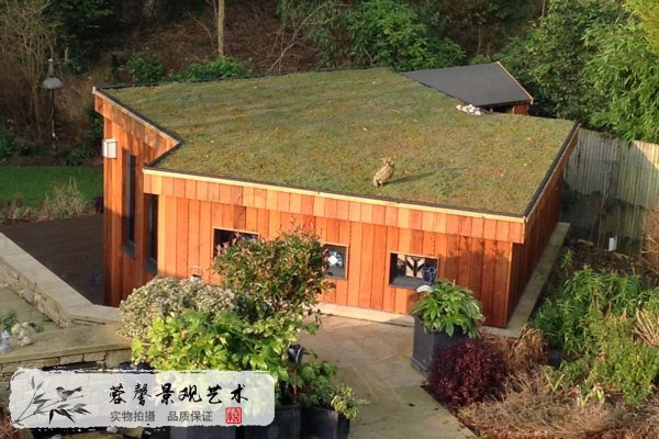 屋顶绿化是什么