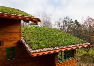 屋顶绿化好处