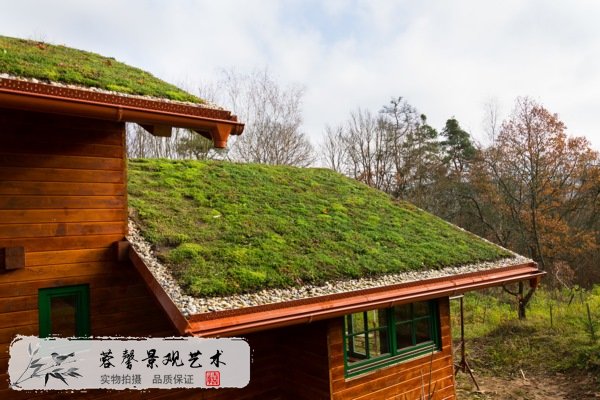 屋顶绿化好处