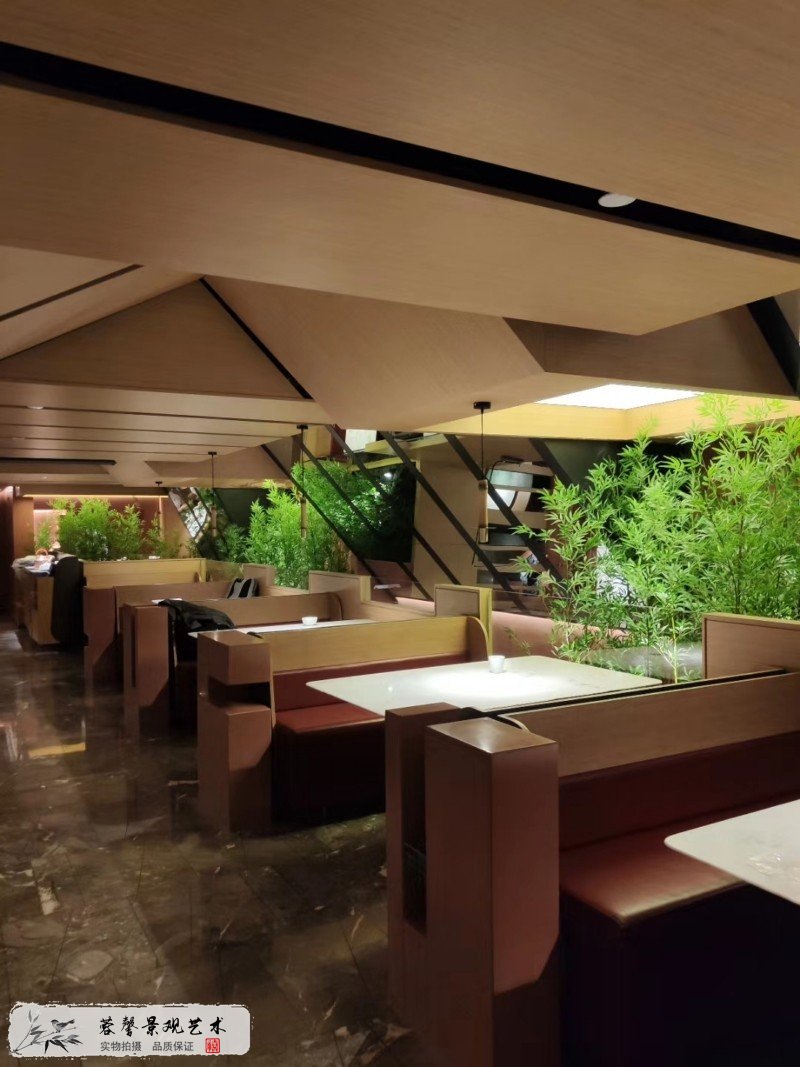 餐厅植物景观