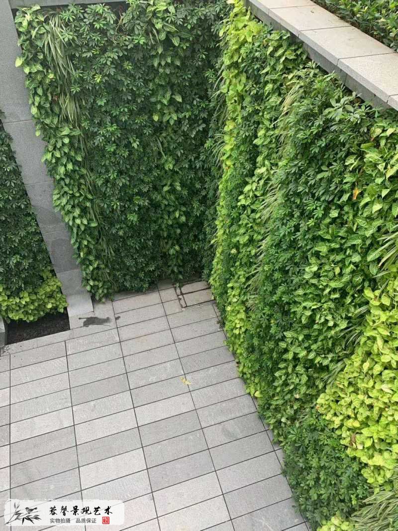 下沉式植物墙