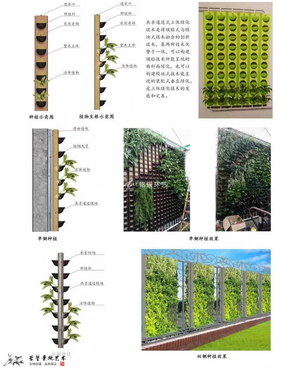 塑木通道式+岩棉植物墙容器介绍1_1.jpg