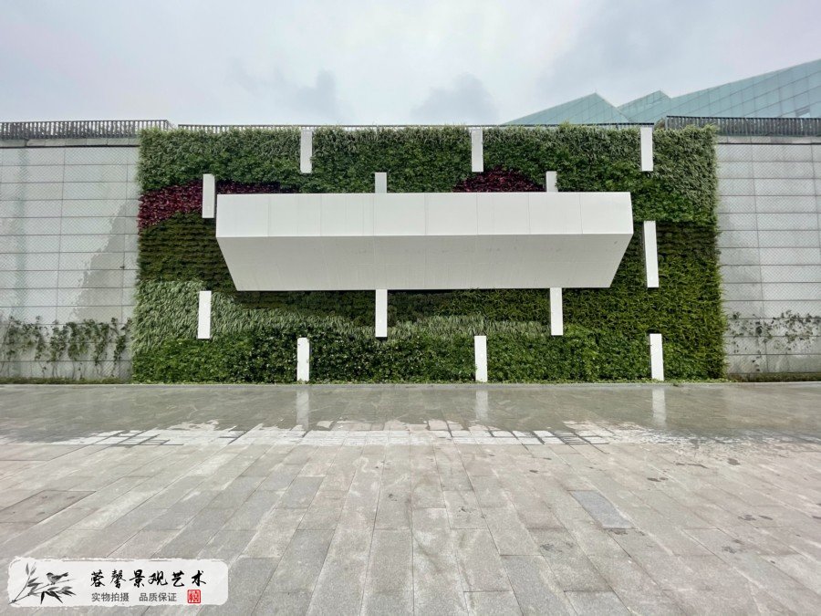 重庆大剧院植物墙，围墙垂直绿化一月后回访
