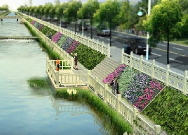 河道护坡绿化