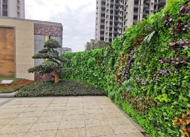 植物墙的可持续性