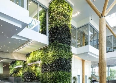 立体绿化植物墙施工