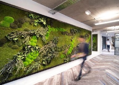 仿真绿化墙植物墙