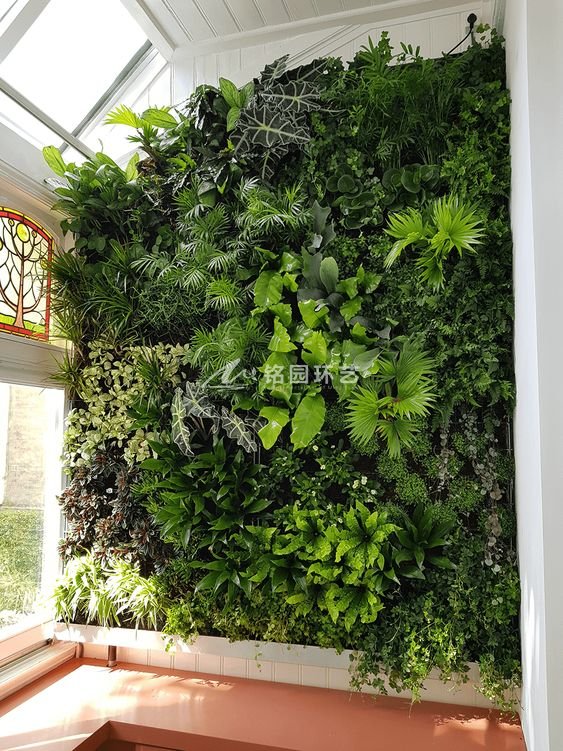 阳台植物墙设计