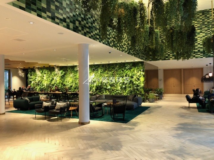 酒店室内植物墙