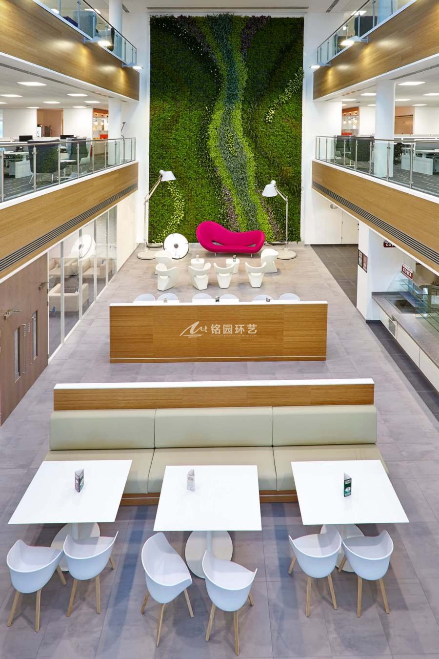 办公室植物墙，室内大型垂直绿化景观