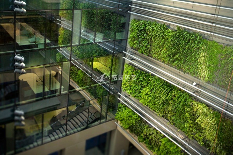 商业垂直绿化，商务区办公楼植物墙案例