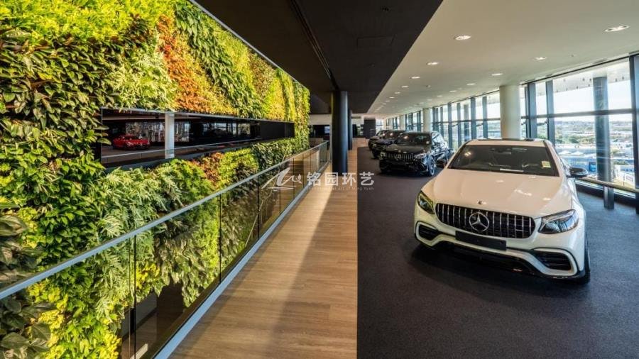汽车展厅植物墙，奔驰4S店室内垂直绿化景观