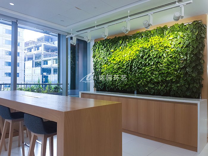 用餐区，走廊植物墙，办公室垂直绿化景观