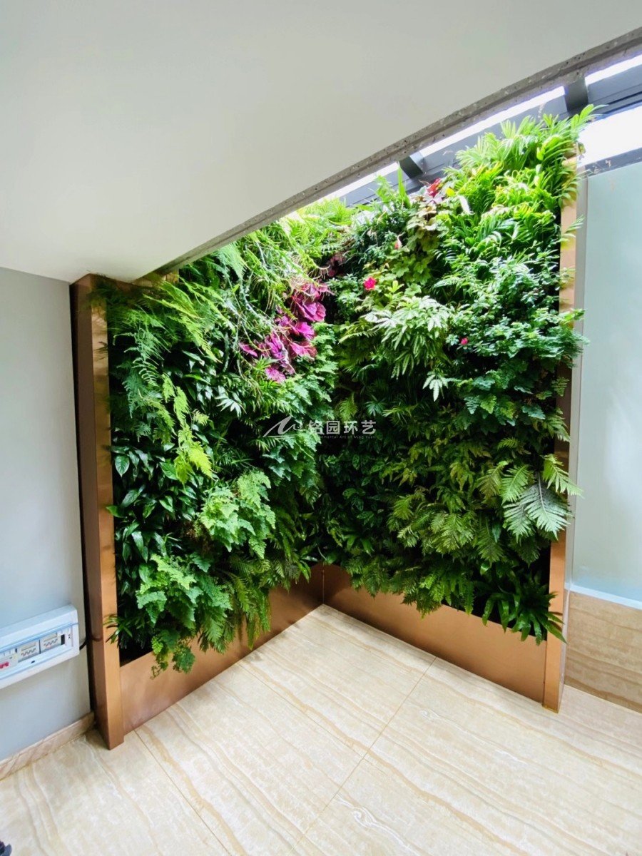 会客厅植物墙，办公室玻璃顶垂直绿化景观案例