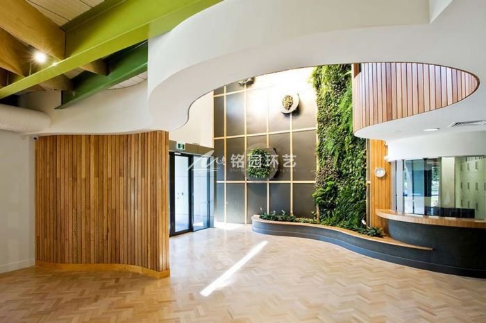 入口处植物墙，办公楼大堂垂直绿化景观