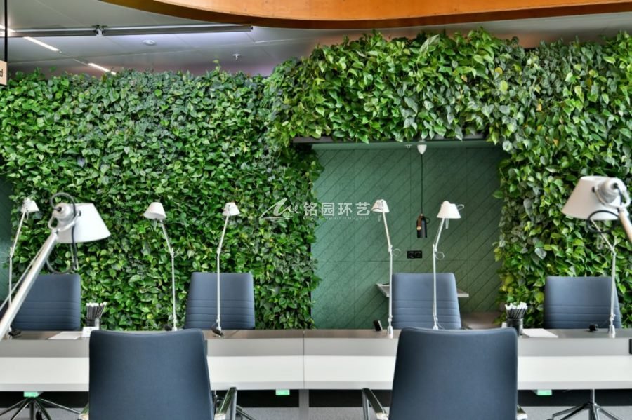 办公室植物墙，洽谈间绿萝垂直绿化景观