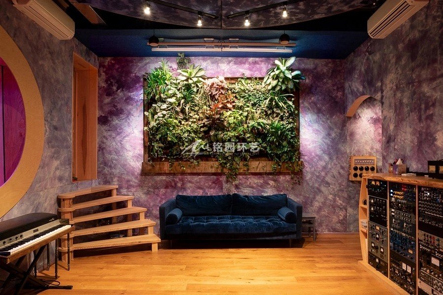 录音棚植物墙，工作室垂直绿化景观