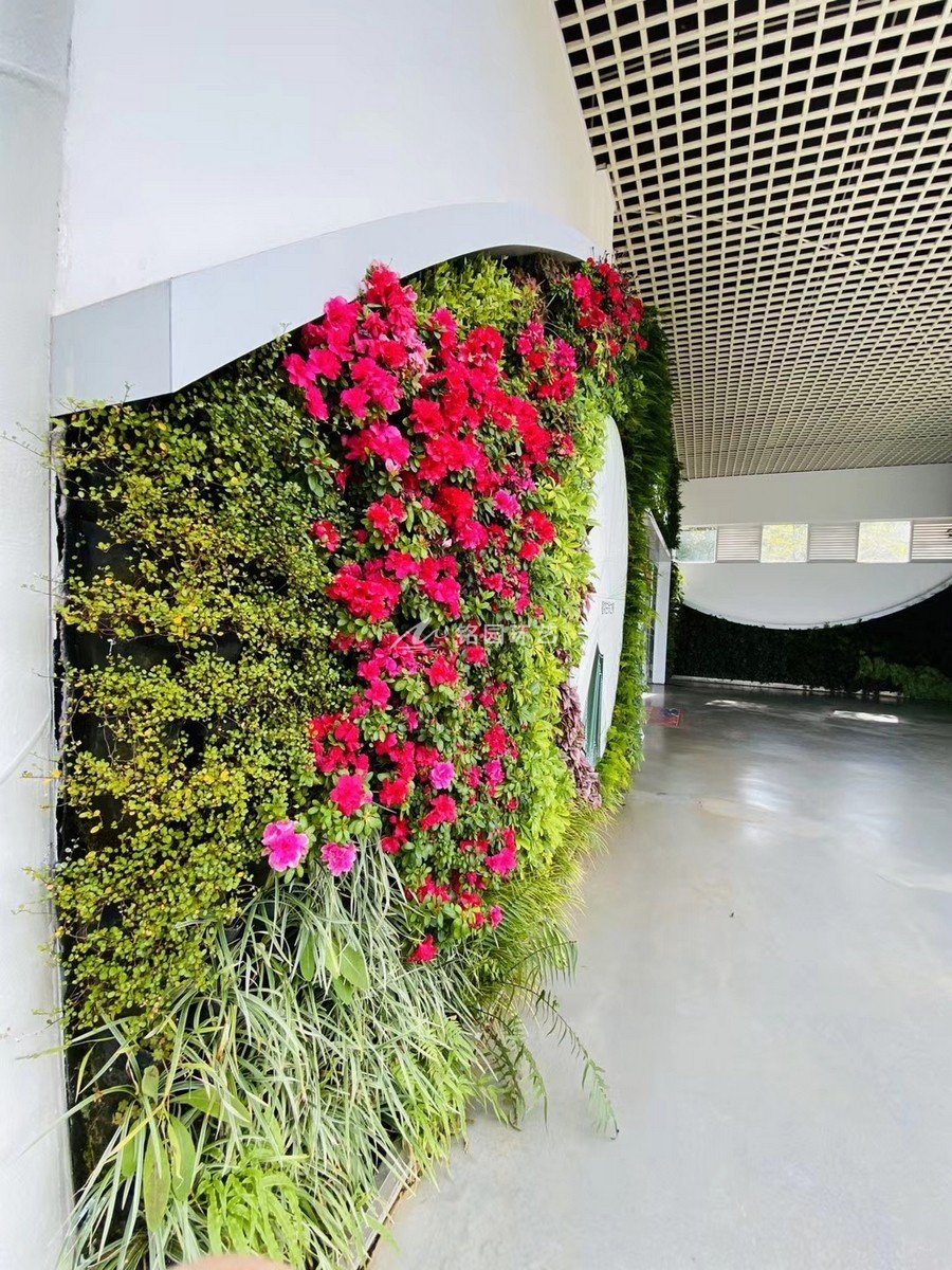 门头植物墙