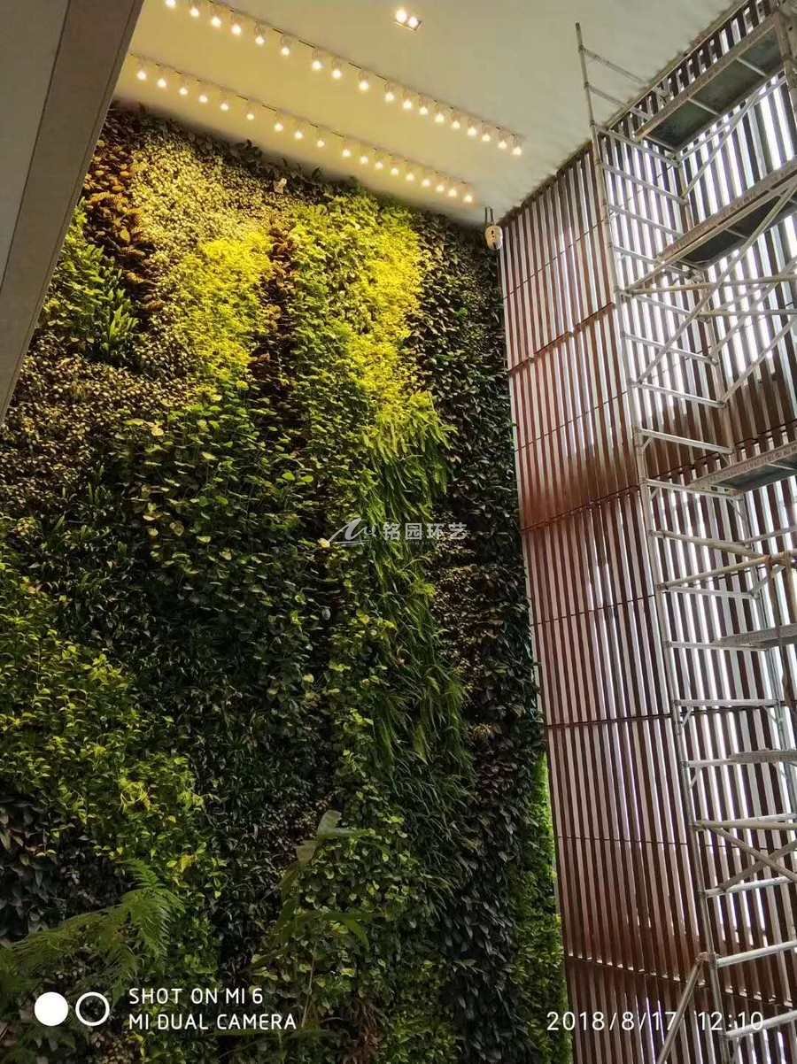 腾讯大厦植物墙