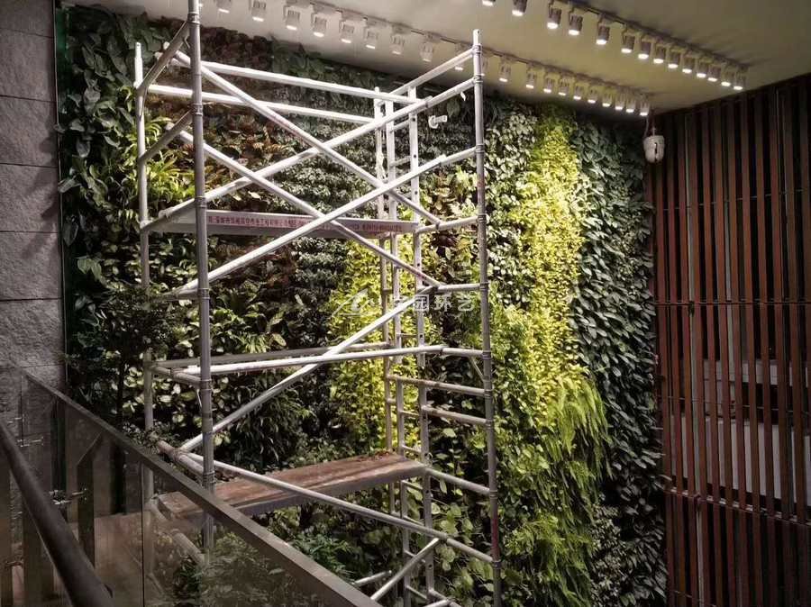 大堂中庭植物墙，企业大堂垂直绿化景观