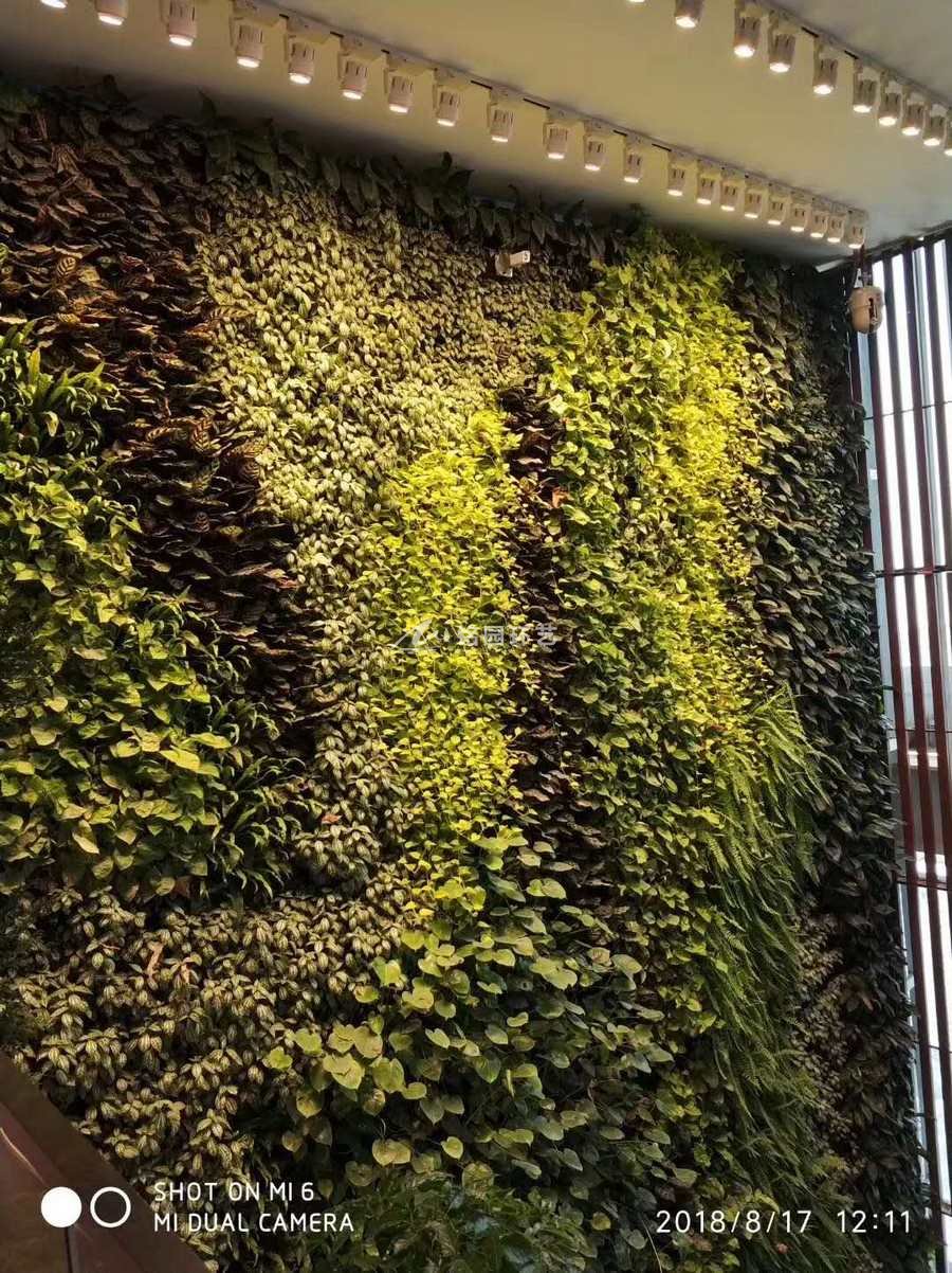 腾讯大厦植物墙
