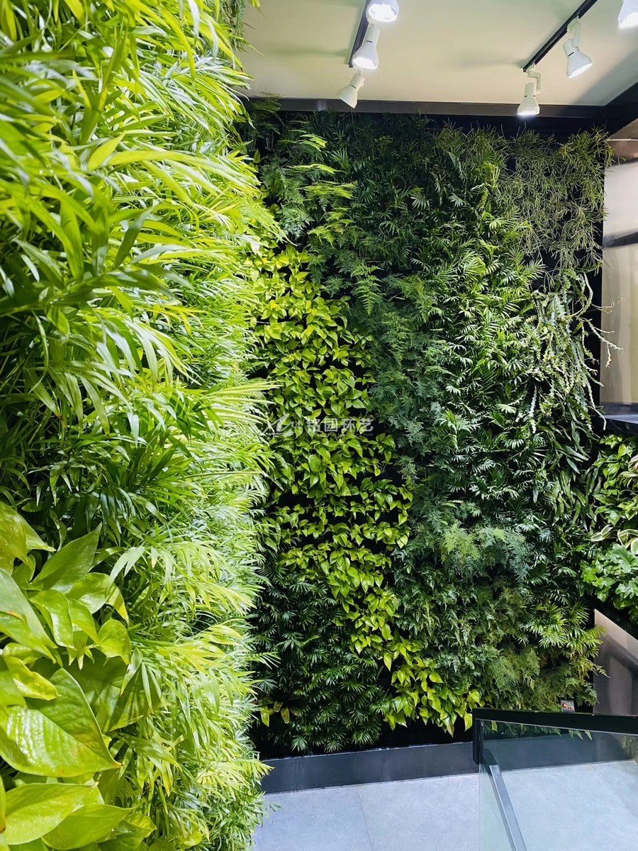 办公楼室内植物墙
