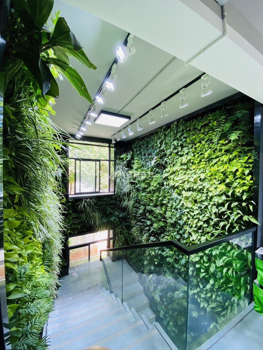 办公楼室内植物墙