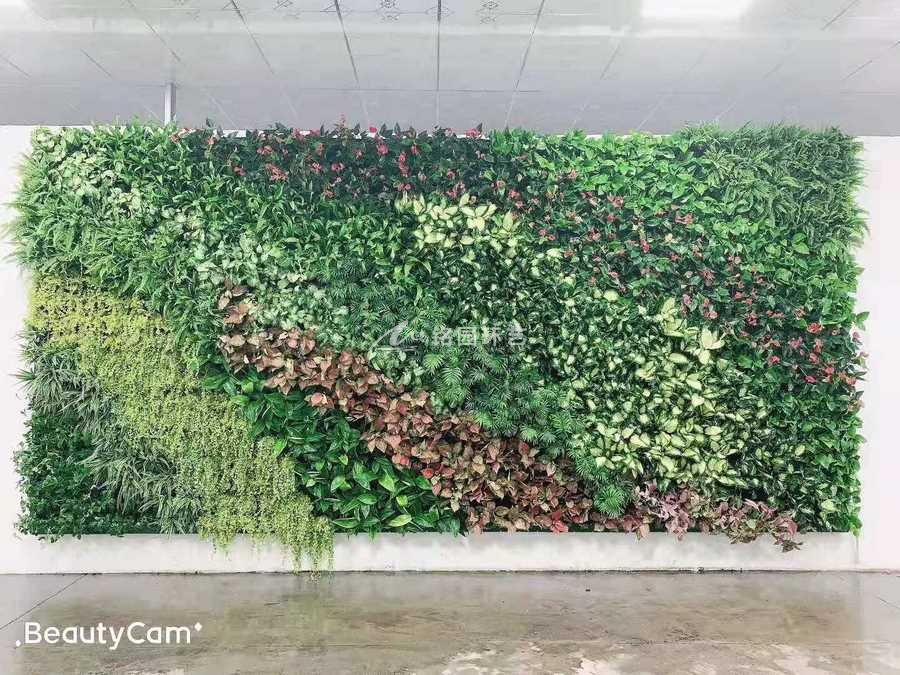 农业展厅植物墙，成都广良农业垂直绿化绿植景观