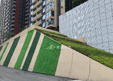 斜坡绿化