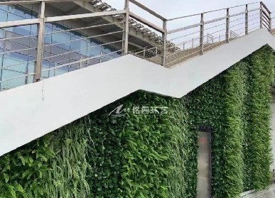 步梯植物墙