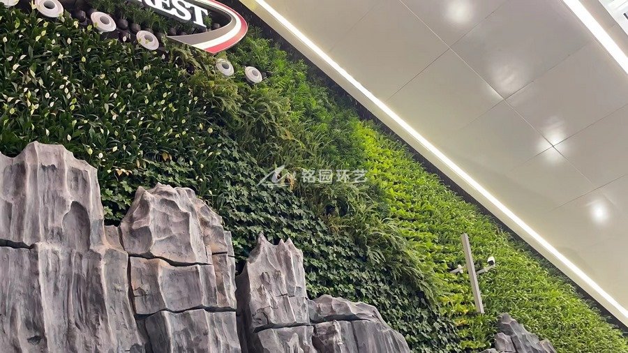 展厅植物墙