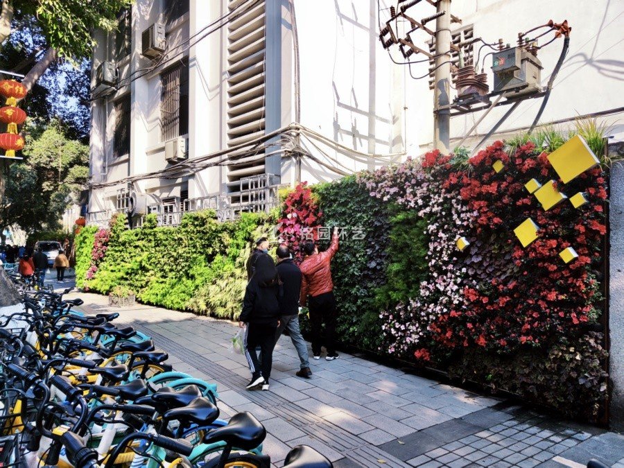 城市改造提升垂直绿化