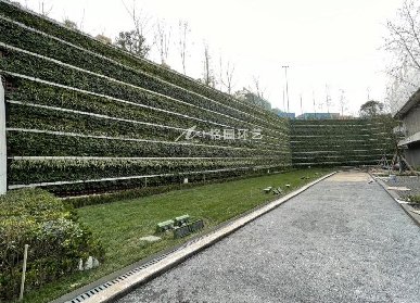 下沉围墙植物墙