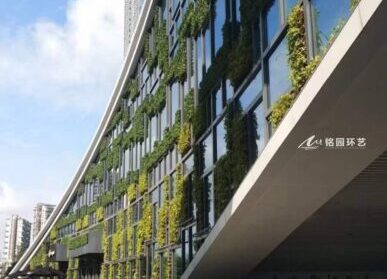 商业垂直绿化，商场建筑外立面垂直绿化景观