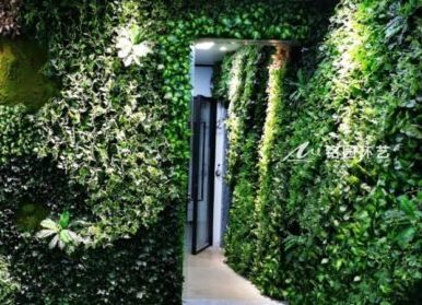办公室满铺植物墙，会客休息工作室仿真绿植墙体景观