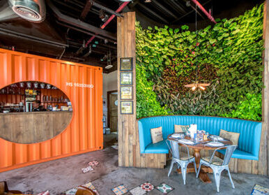 【自贡植物墙】餐饮店墙体绿化植物墙景观（仿真绿植结合造景）