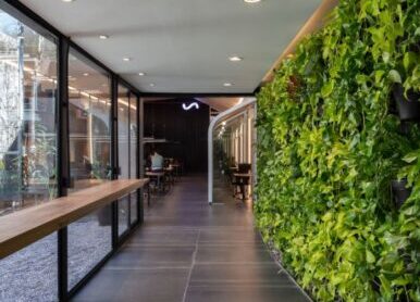 过道墙体绿化，室内走廊垂直绿化植物墙景观