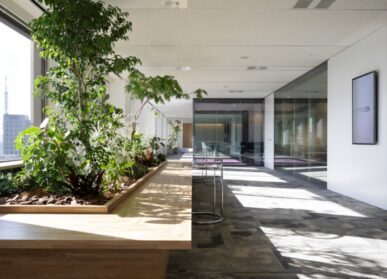 自贡，乐山室内景观设计，仿真植物仿真树批发厂家公司